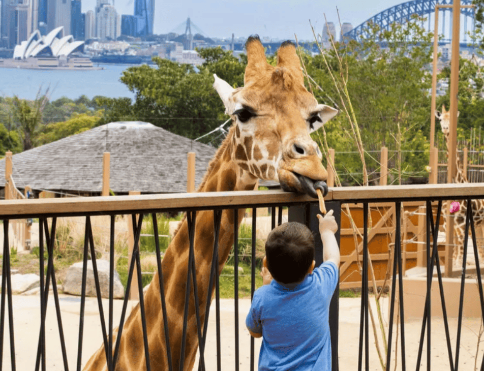 三月旅游｜3. 澳洲